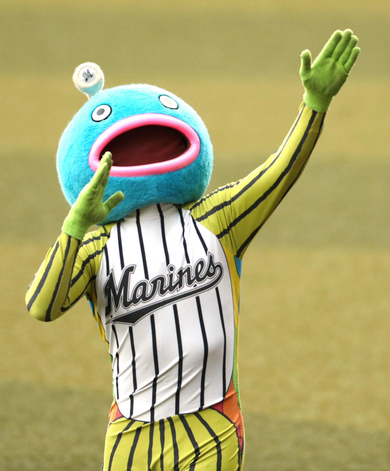 謎の魚（2020年11月8日撮影）