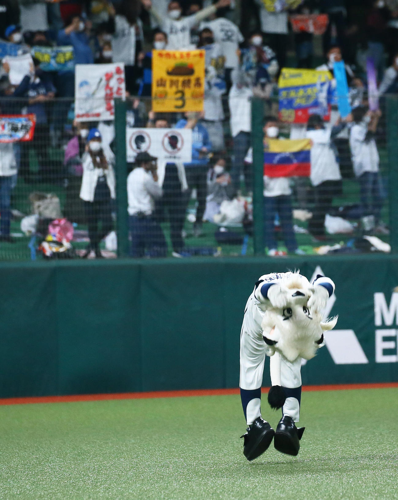 バック転を披露するレオ（2020年10月22日撮影）