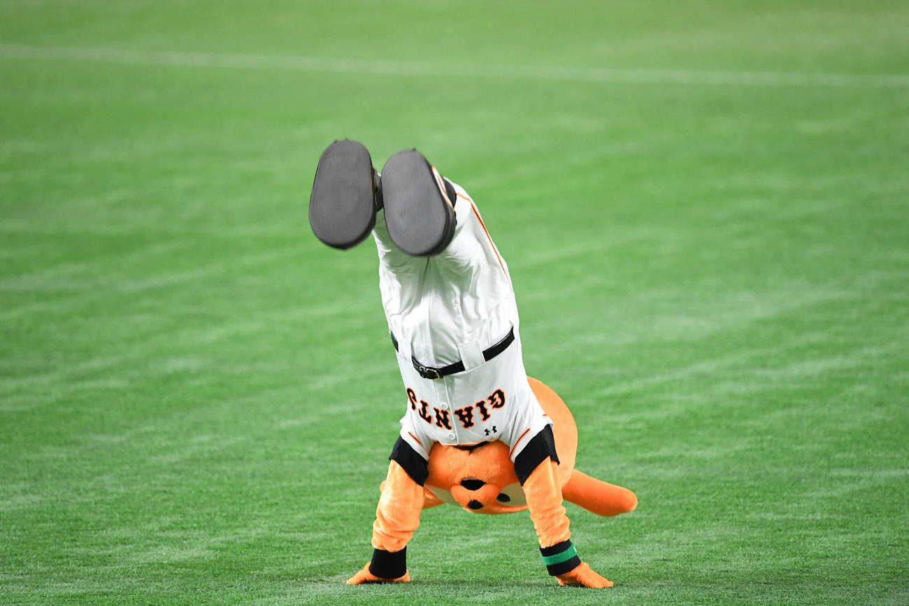 バック転を披露するジャビット（2016年9月3日撮影）