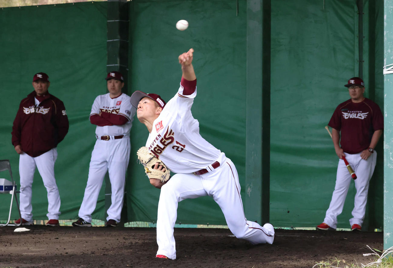 ブルペンで投げ込む楽天早川。後方左から光山バッテリーコーチ、石井GM兼監督、小山投手コーチ