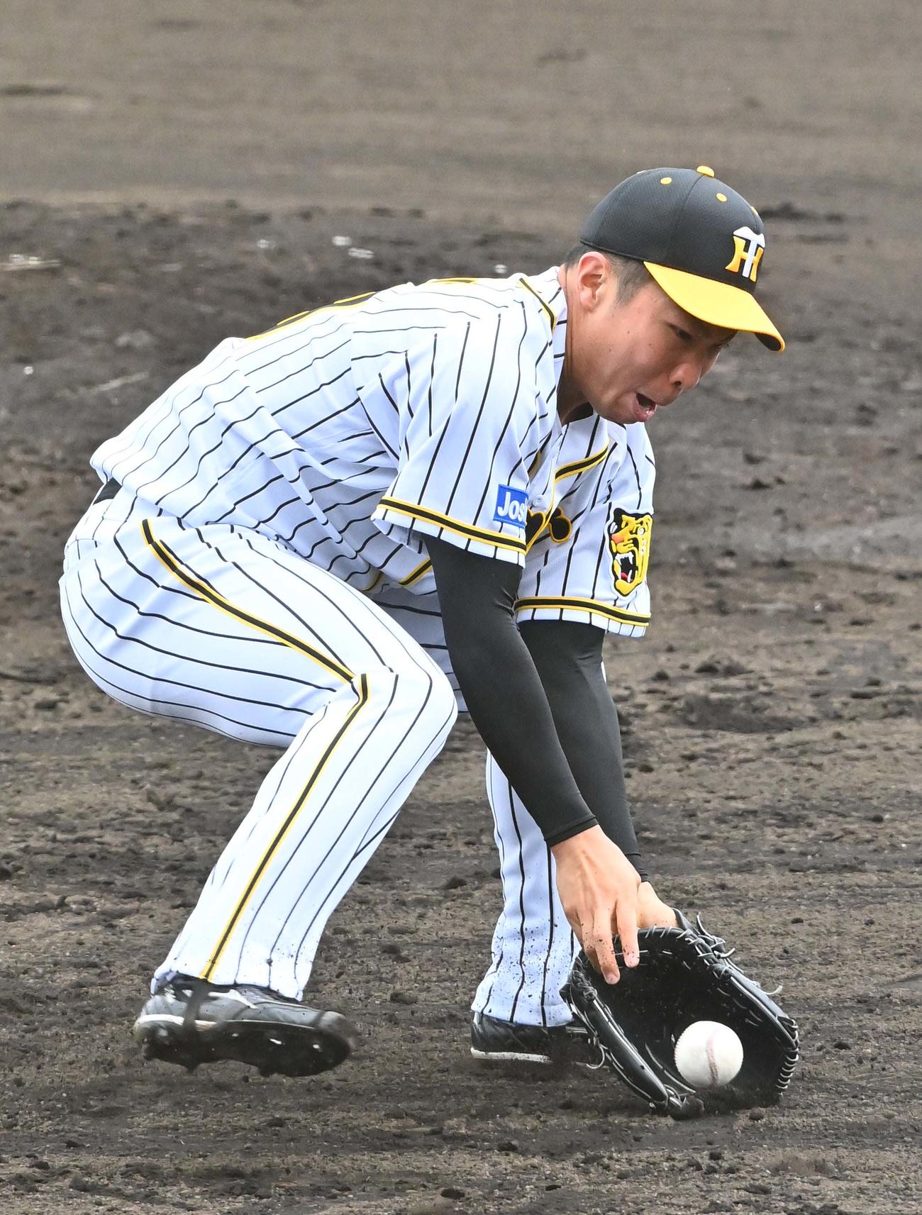 投内連係プレーの練習で汗を流す石井大智（撮影・上田博志）