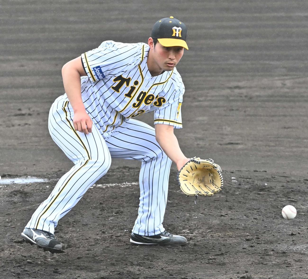 投内連係プレーの練習で汗を流す佐藤蓮（撮影・上田博志）