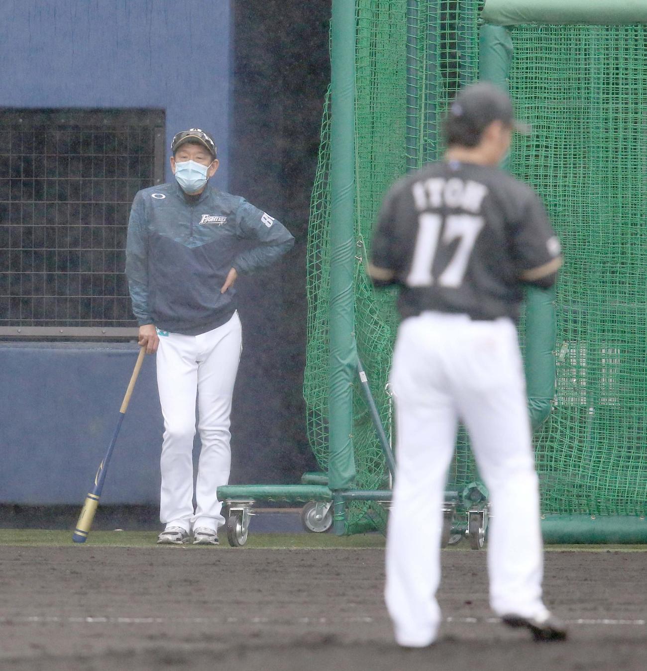 日本ハム栗山監督は伊藤（右手前）の投内連携を見つめる（撮影・佐藤翔太）