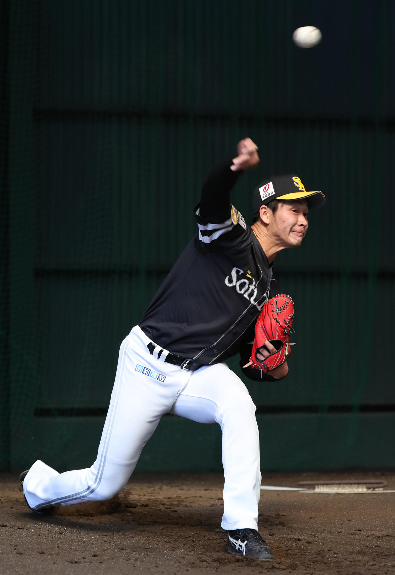 ブルペンに入った武田は力強く投げ込む（代表撮影）