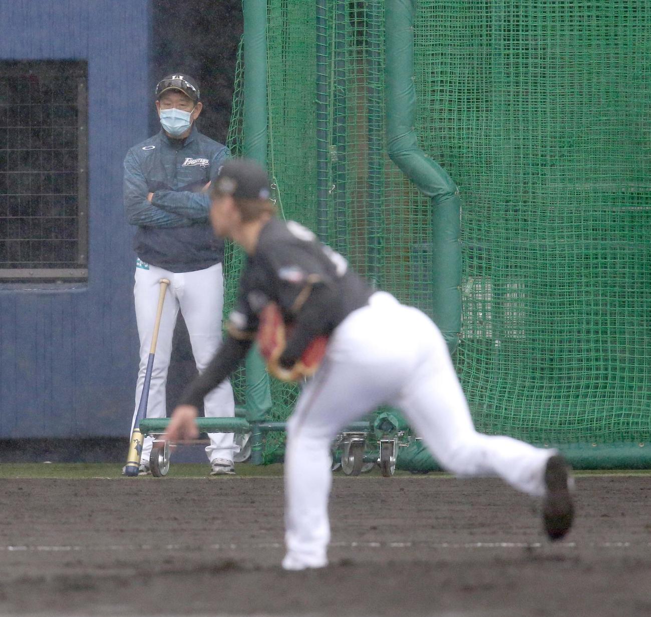 日本ハム栗山監督は吉田（右手前）の投内連携を見つめる（撮影・佐藤翔太）