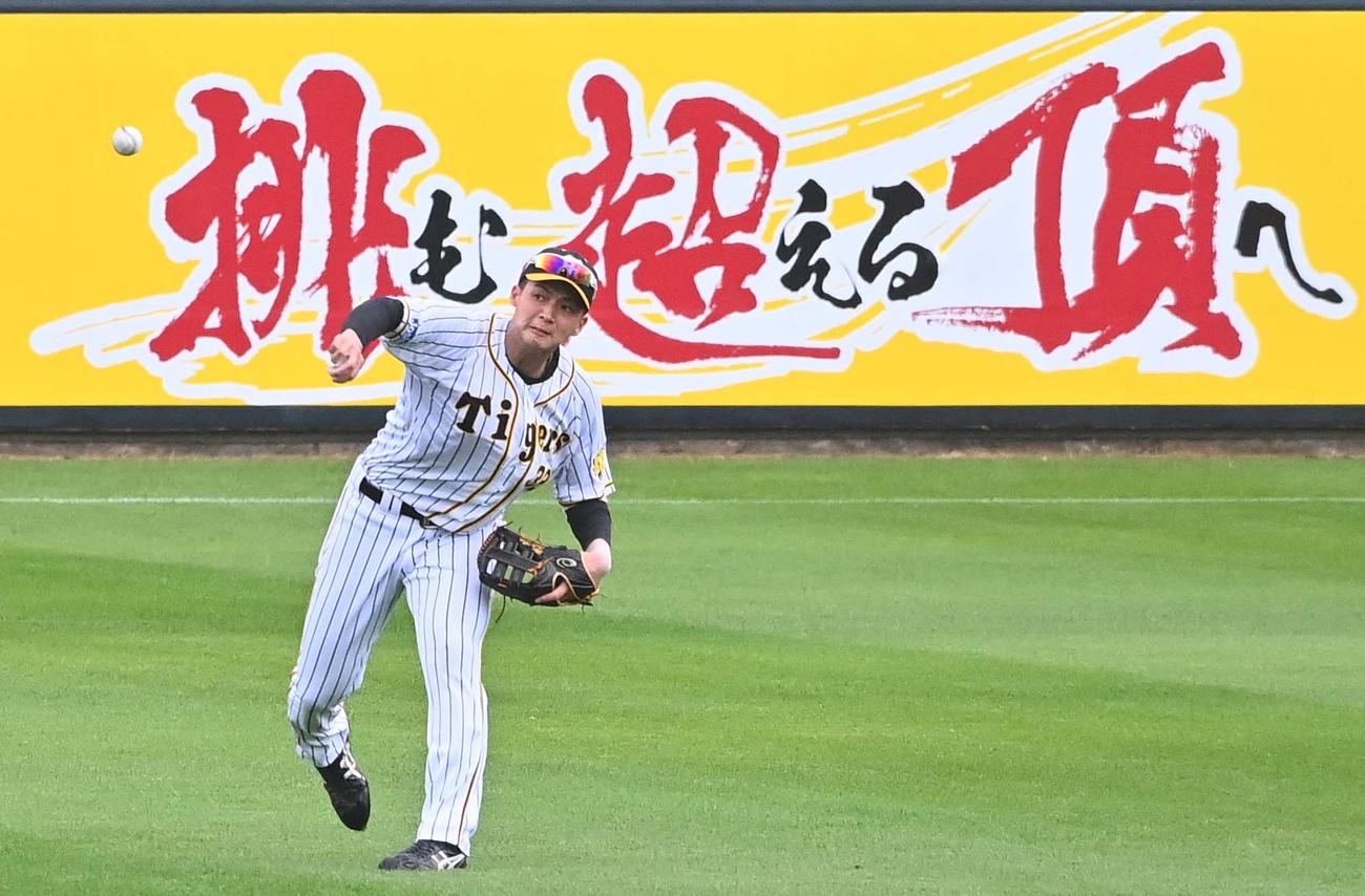 シートノックで本塁へ返球する井上（撮影・上田博志）