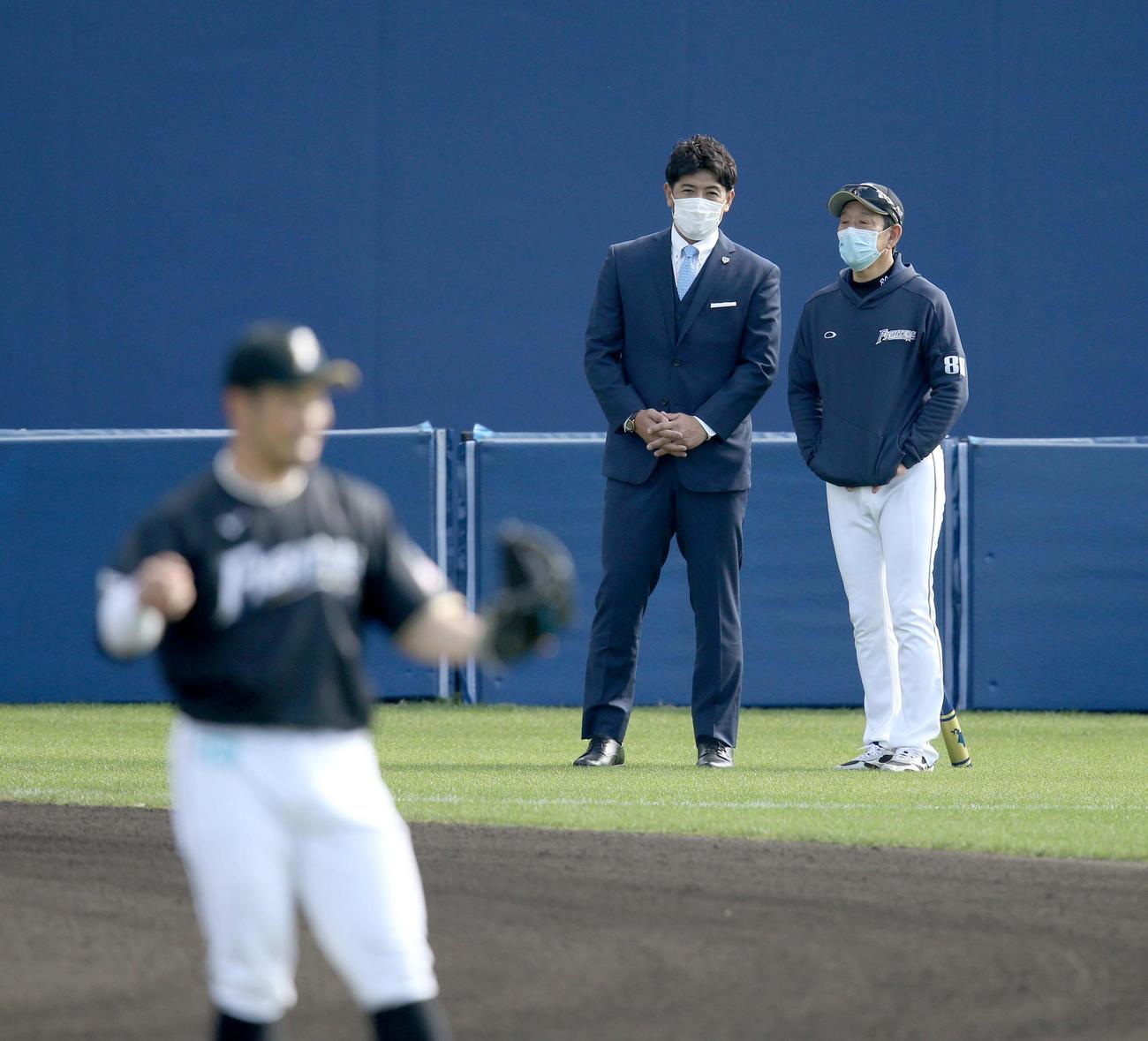 日本ハムのキャンプを視察した侍ジャパン稲葉監督は栗山英樹監督（右奥）と会話する。左手前は近藤（撮影・佐藤翔太）