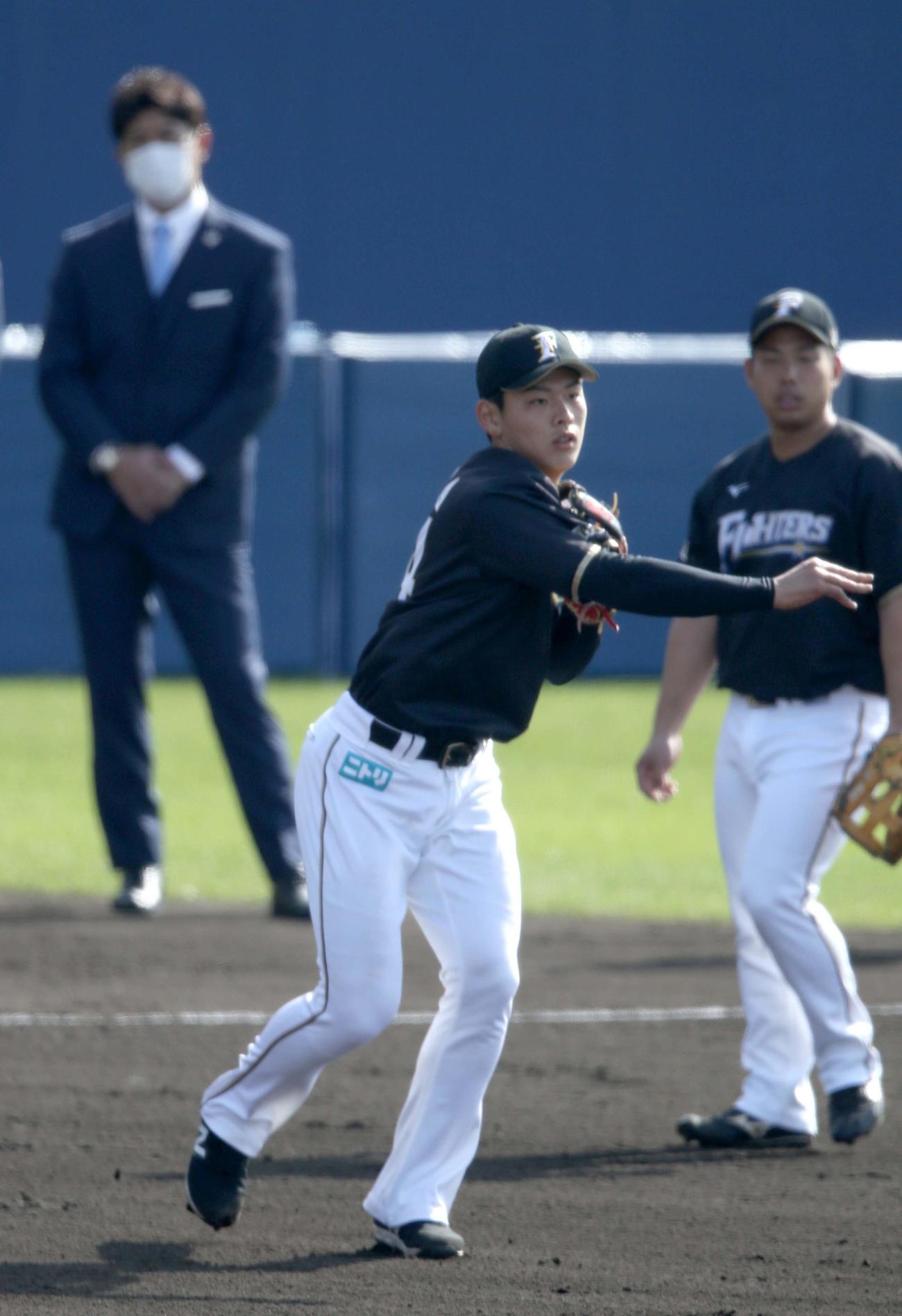侍ジャパン稲葉監督（左奥）が見つめる中、守備練習をする日本ハム野村（撮影・佐藤翔太）