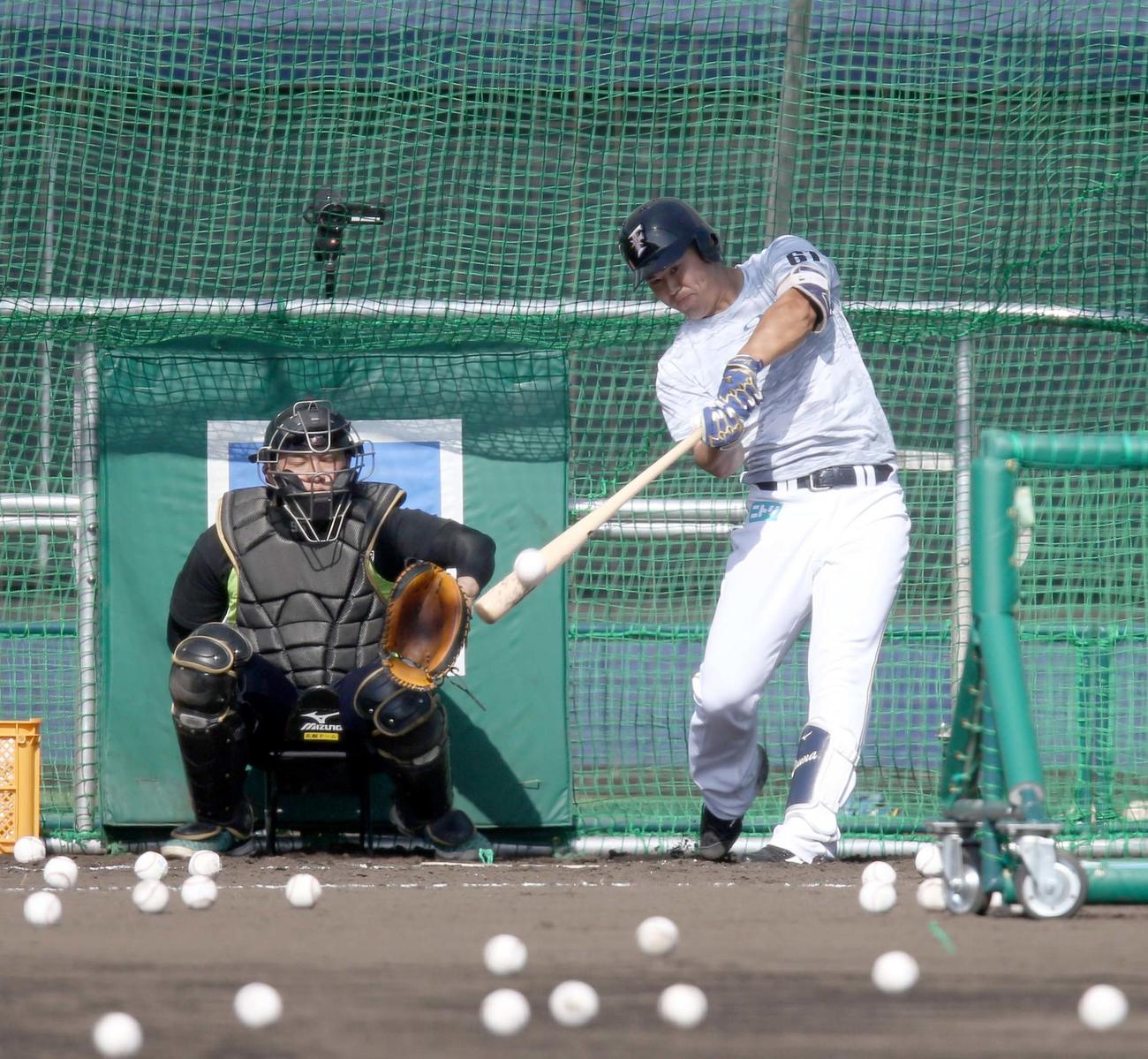 打撃練習をする日本ハム今川（撮影・佐藤翔太）
