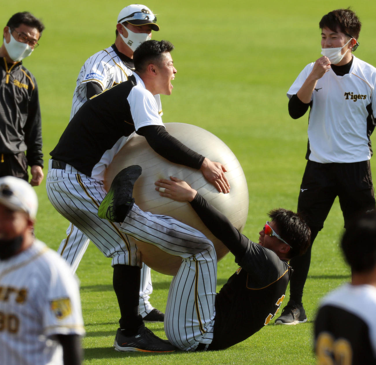 サーキットトレーニングでバランスボールを佐藤輝明が持ち上げ、下半身で挟む井上広大（撮影・加藤哉）