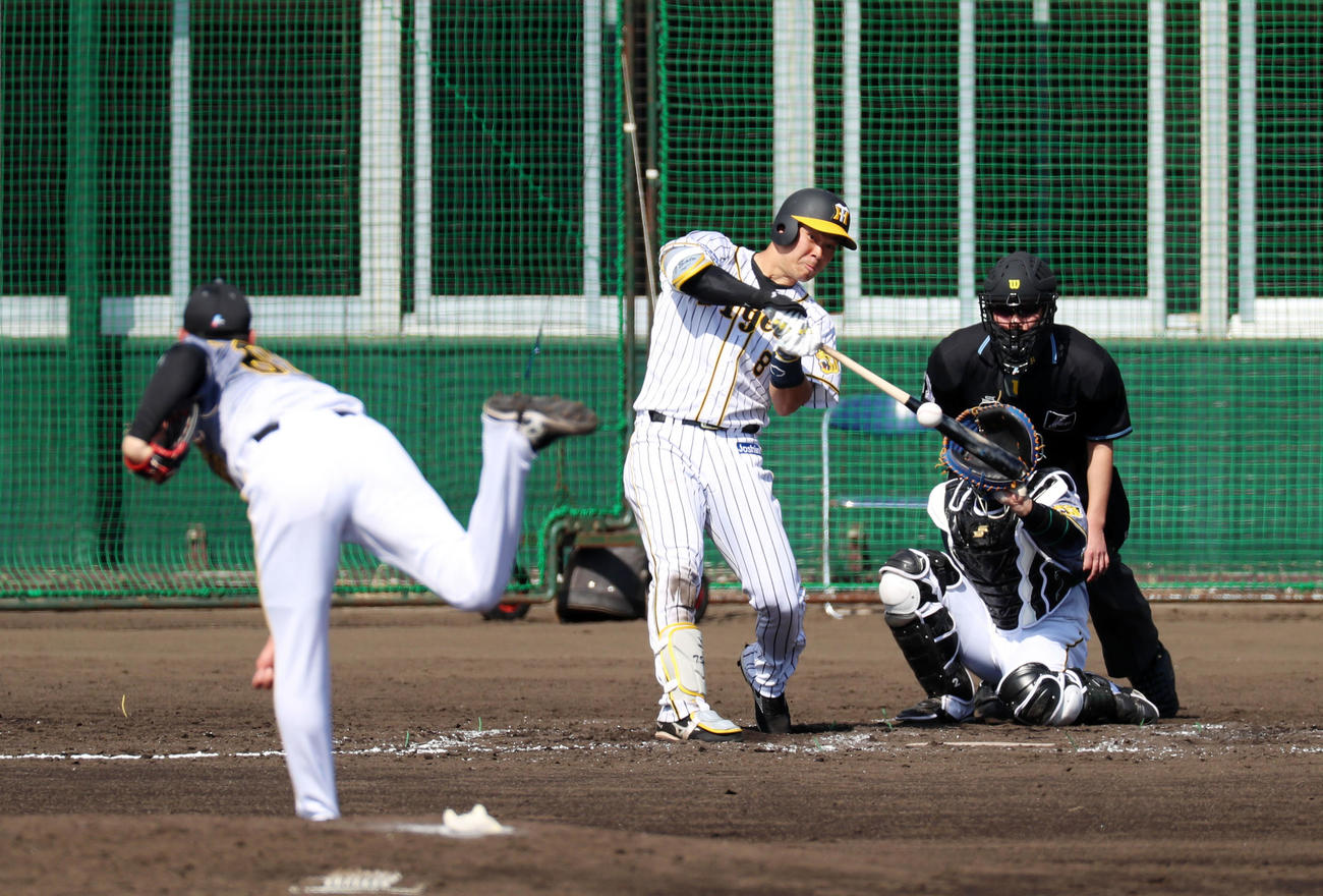紅白戦　3回裏白組1死、佐藤輝は一ゴロを放つ（撮影・加藤哉）