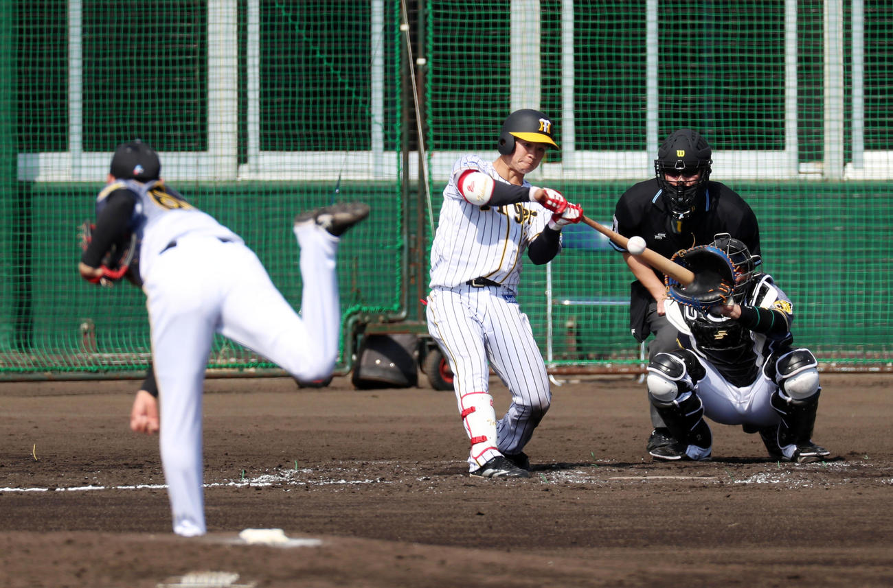 紅白戦　3回裏白組1死、中野は右前打を放つ、左は小川（撮影・加藤哉）