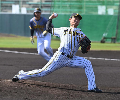 阪神紅白戦　白組先発の西純矢（撮影・上田博志）