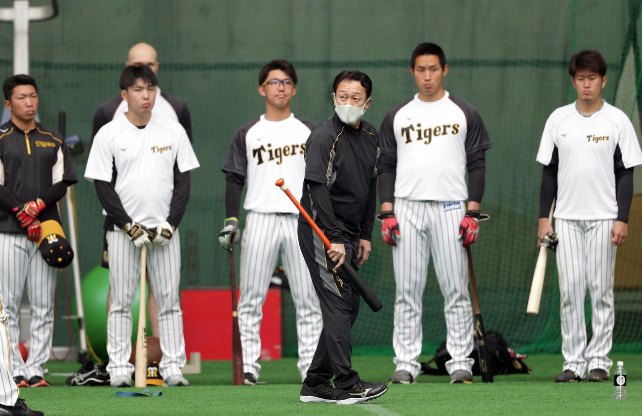 阪神の投手陣にバントを指導する川相臨時コーチ（中央）（撮影・前田充）