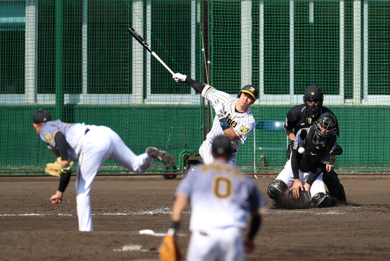 紅白戦　5回裏白組無死一塁、佐藤輝は空振り三振（撮影・加藤哉）