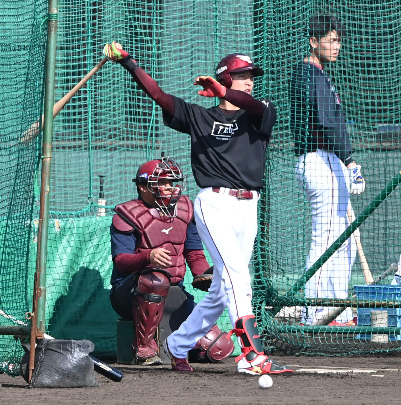 フリー打撃で快音を響かせる楽天武藤（撮影・山崎安昭）