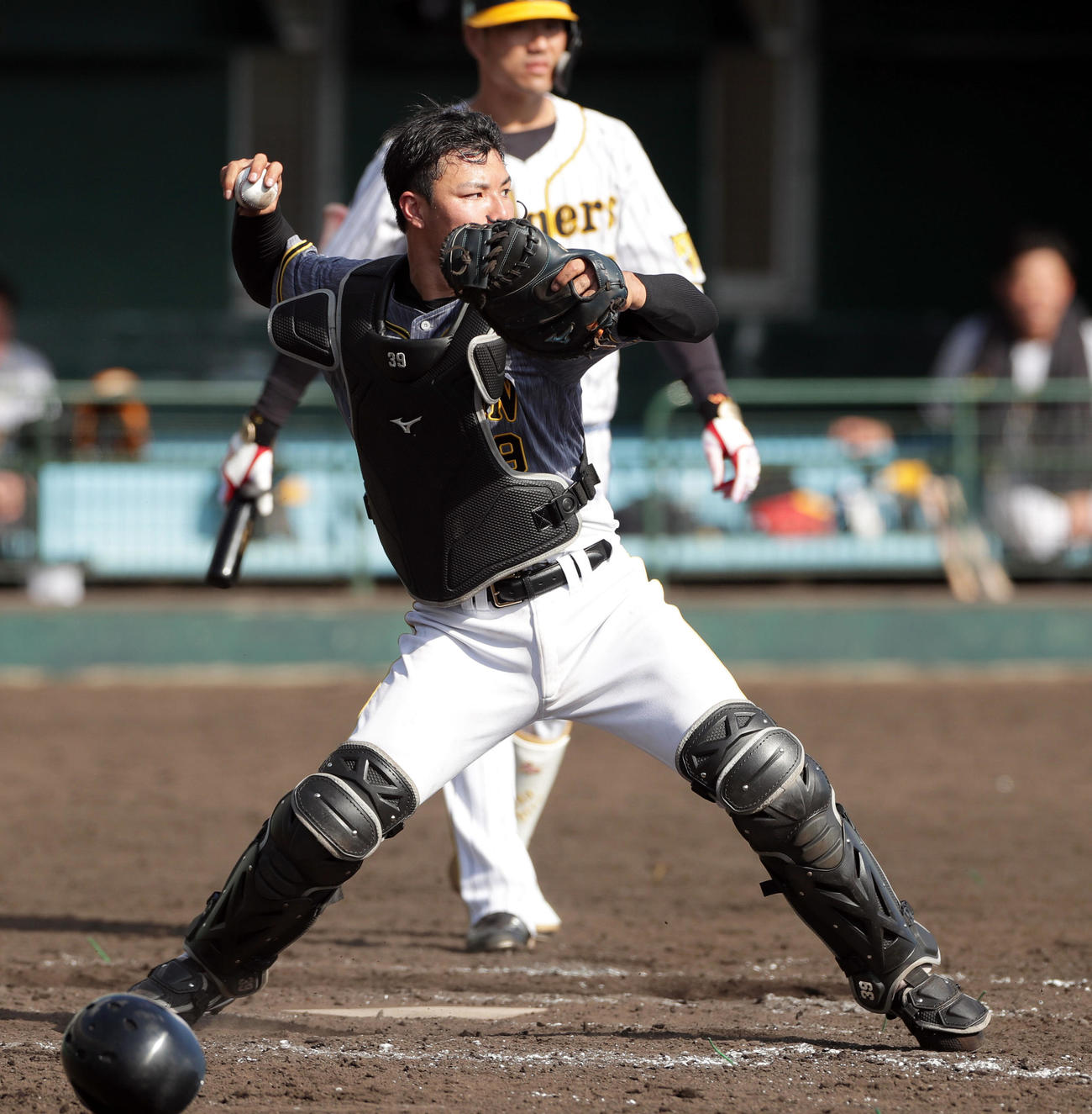 紅白戦6回白組1死二塁、飛び出した二走の原口を刺す栄枝（撮影・前田充）