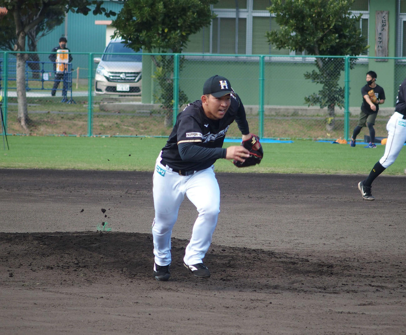 フィールディング練習で軽快な動きを見せる日本ハム柿木（撮影・中島宙恵）