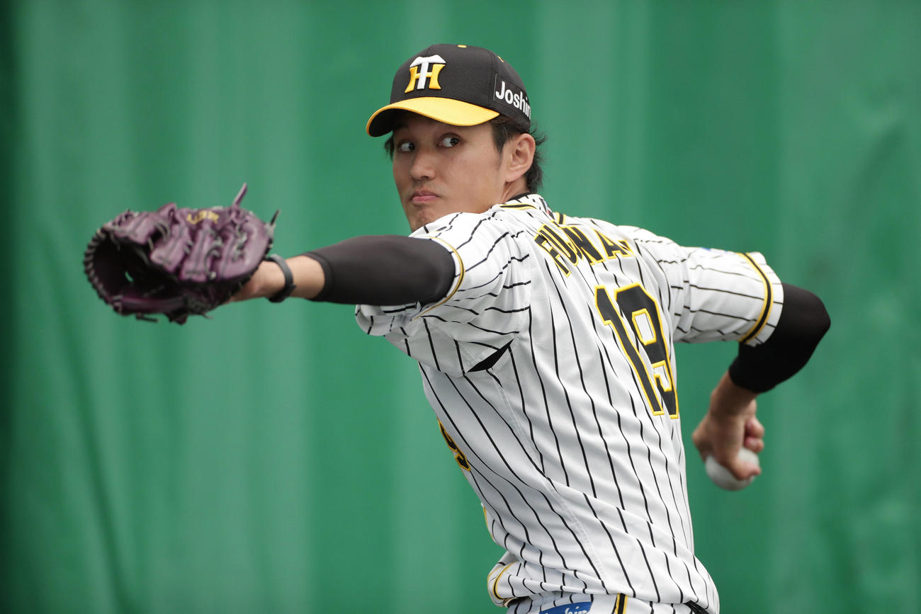 ブルペンで投球する阪神藤浪（撮影・前田充）