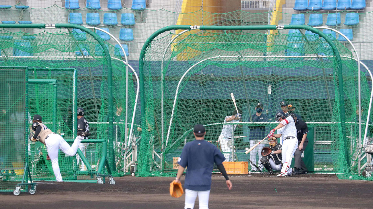 打撃投手を務める日本ハム吉田（左）と対決する野村（撮影・佐藤翔太）