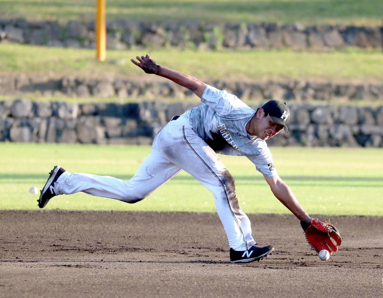 泥だらけになりながら守備練習をする日本ハム野村（撮影・佐藤翔太）