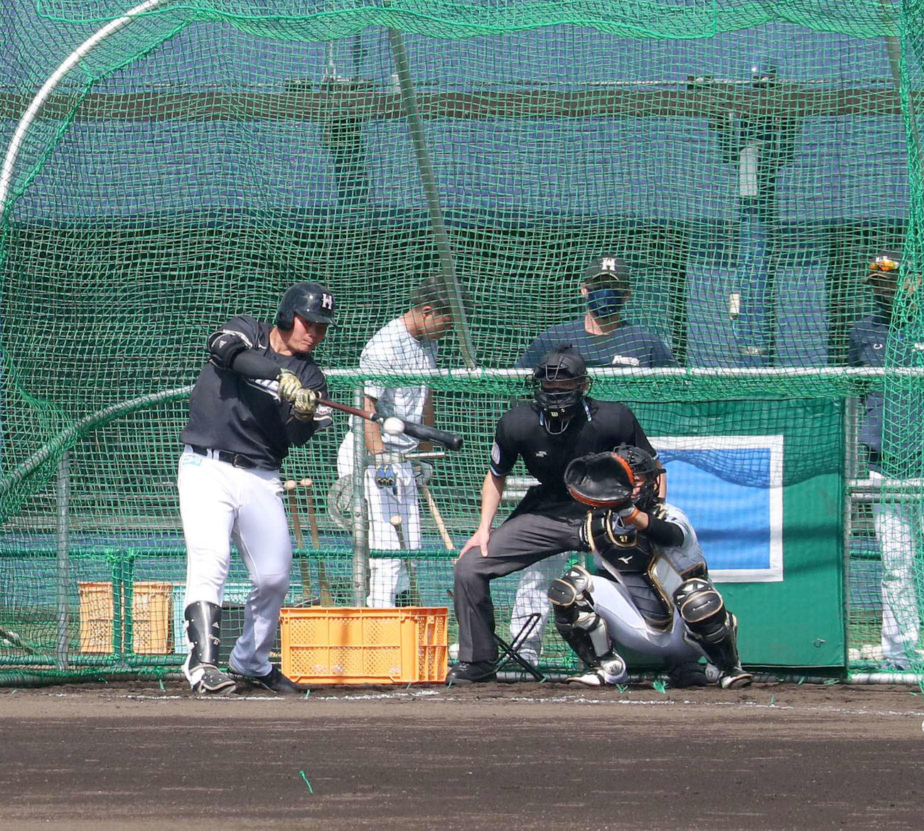 打撃練習をする日本ハム清宮（撮影・佐藤翔太）