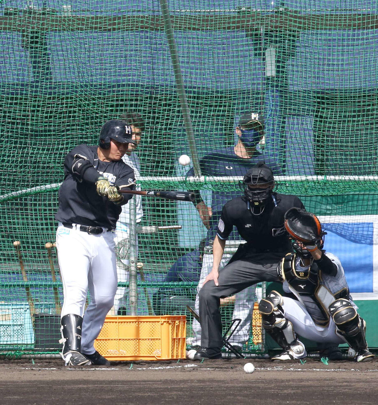 打撃練習をする日本ハム清宮（撮影・佐藤翔太）