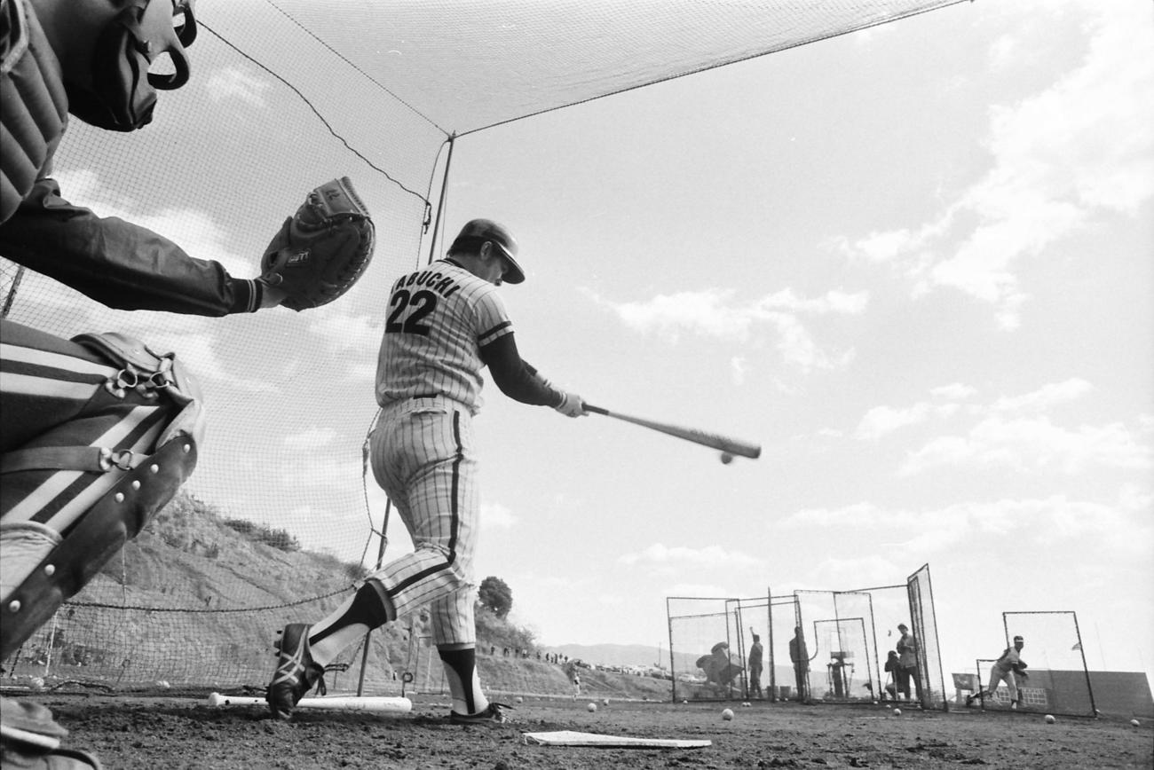 75年2月、フリー打撃で快音を響かせる田淵幸一