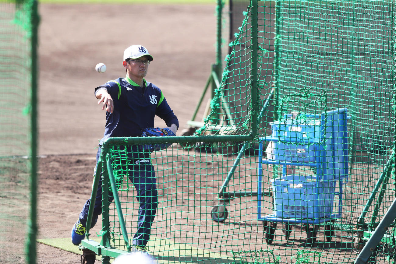 ランチ特打で打撃投手を務める古田臨時コーチ（撮影・河田真司）