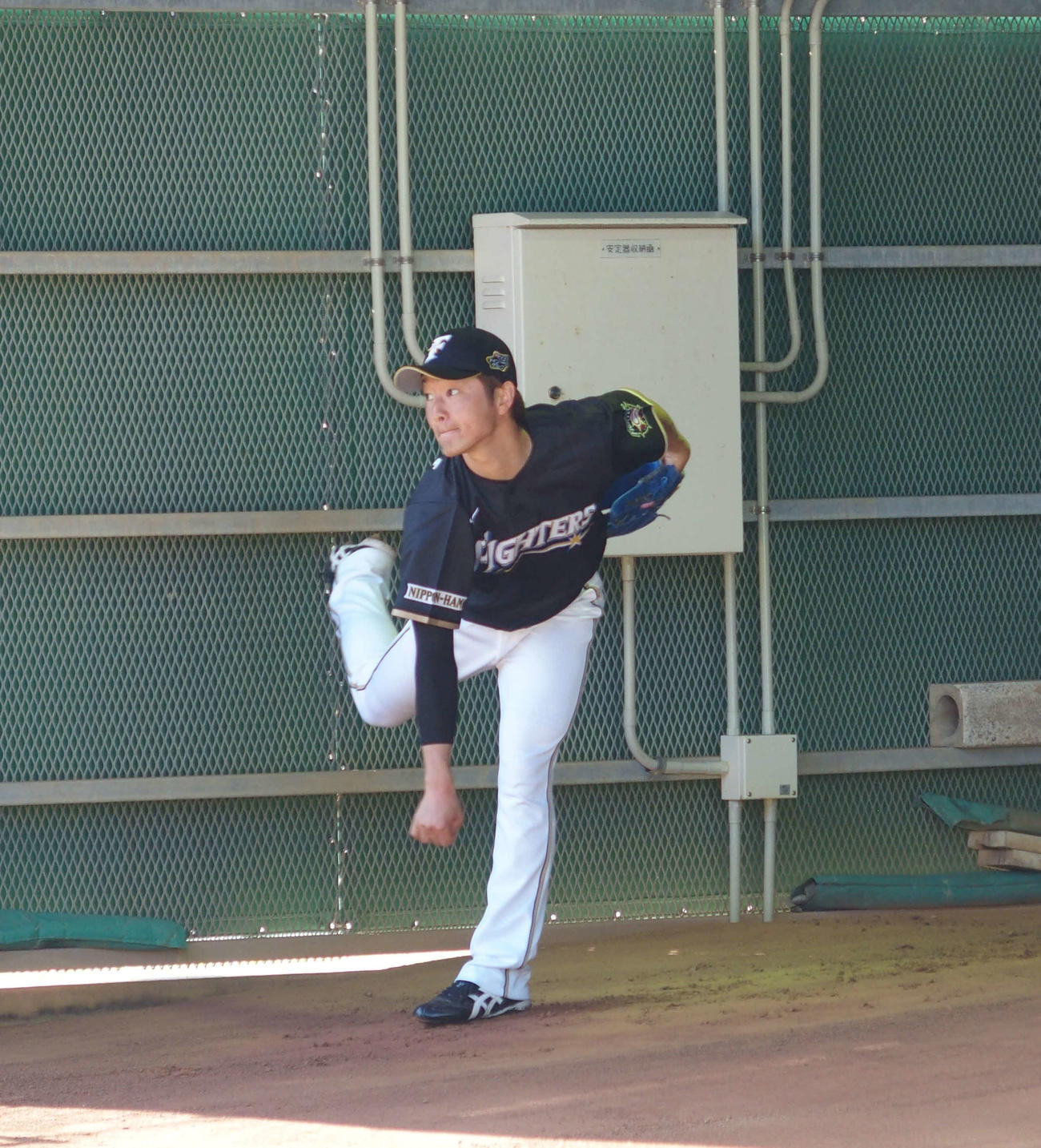 手術後、初めてブルペン入りした日本ハム玉井（撮影・中島宙恵）