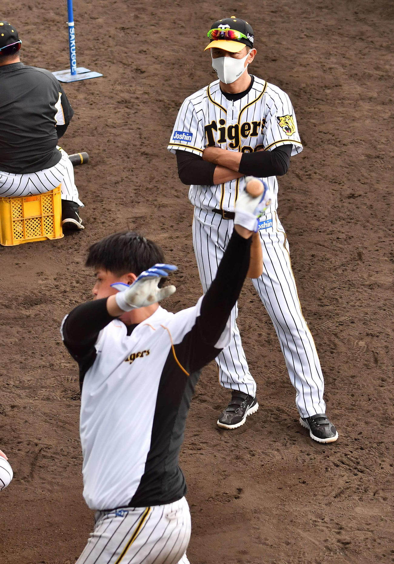 井上広大の打撃練習をチェックする矢野燿大監督（撮影・上田博志）