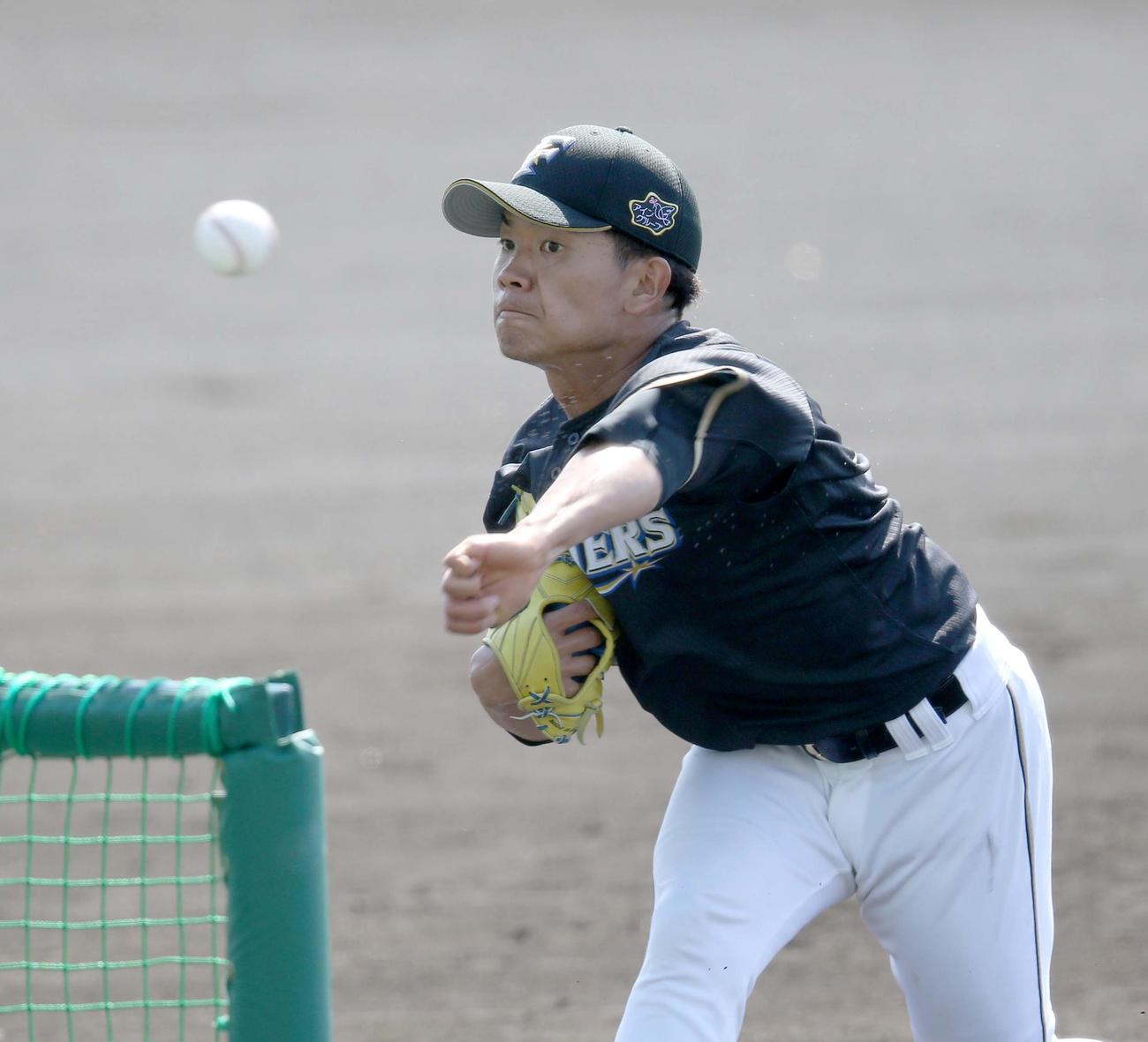 打撃投手を務める日本ハム福田（撮影・佐藤翔太）