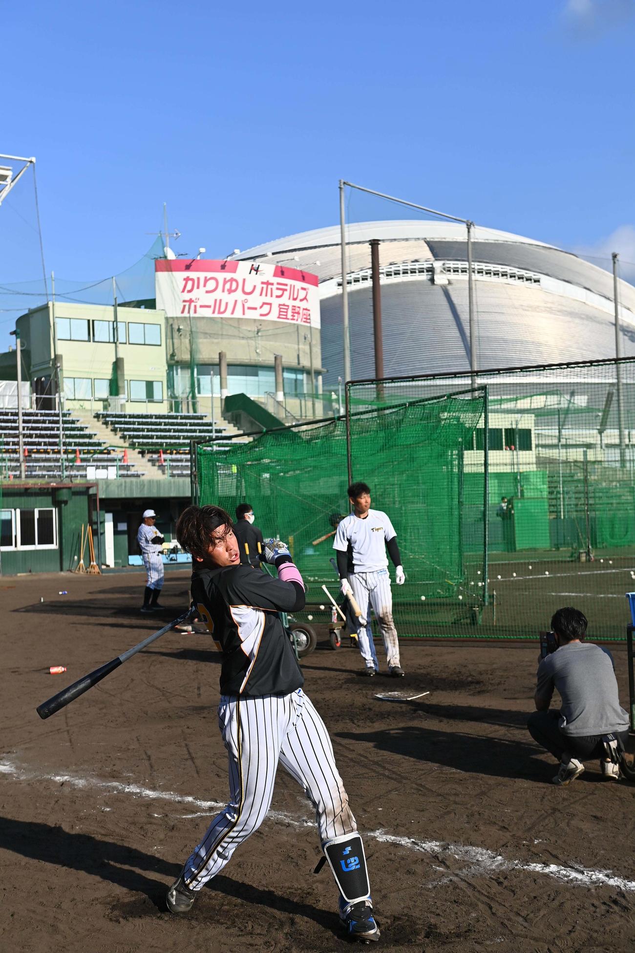 ロング打撃練習をする梅野隆太郎（撮影・上田博志）