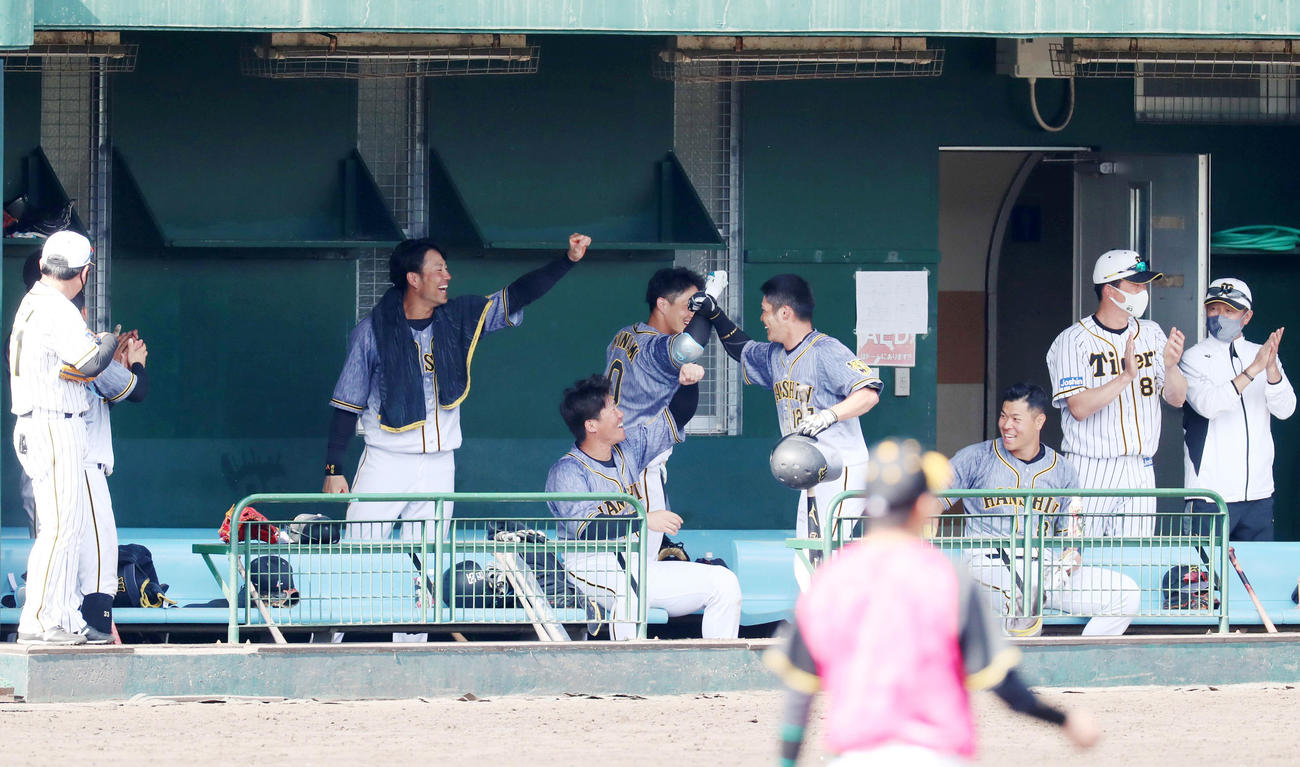 紅白戦　6回表紅組無死、小野寺は左越え本塁打を放ちベンチ前でガッツポーズを見せるが…サイレントトリートメントでナインの出迎えを受ける（撮影・加藤哉）