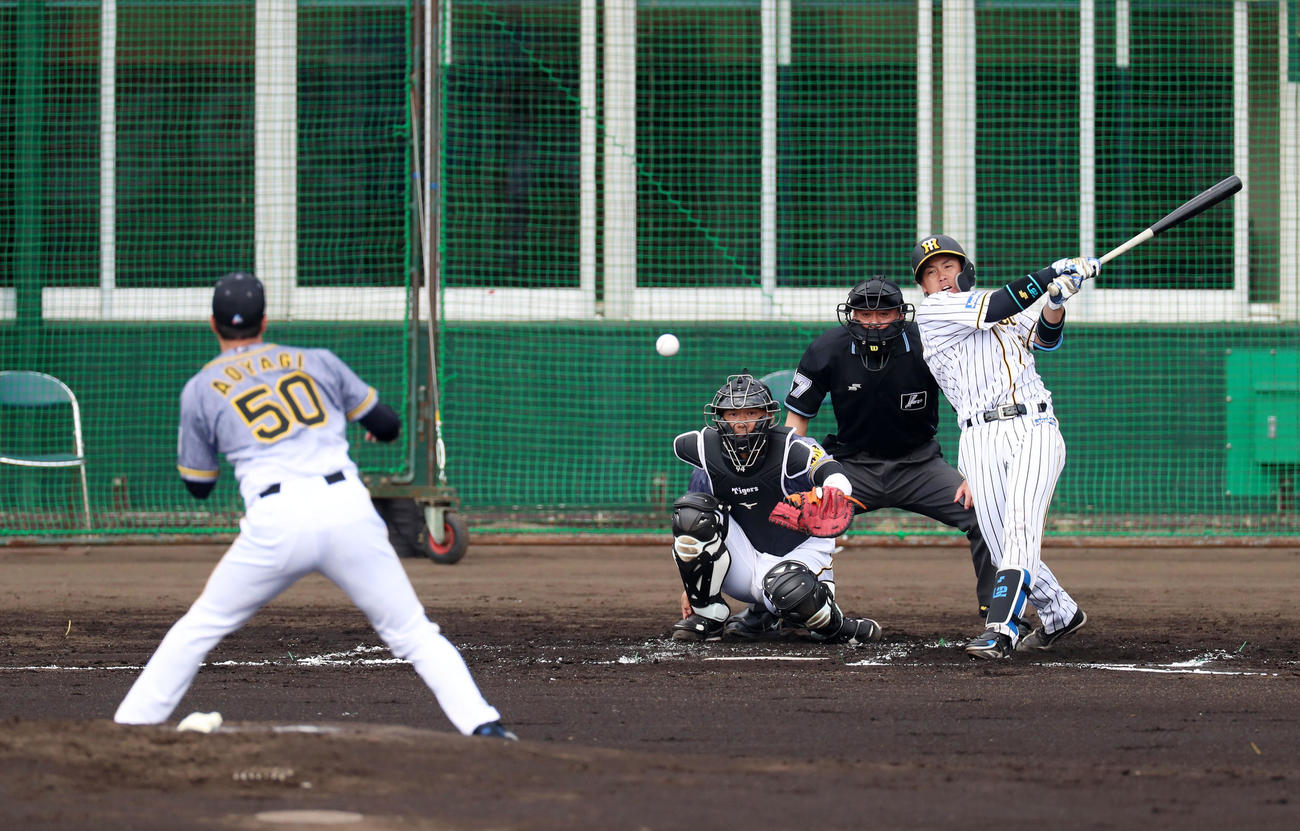 紅白戦　2回裏白組1死、梅野は中前打を放つ、左は青柳（撮影・加藤哉）
