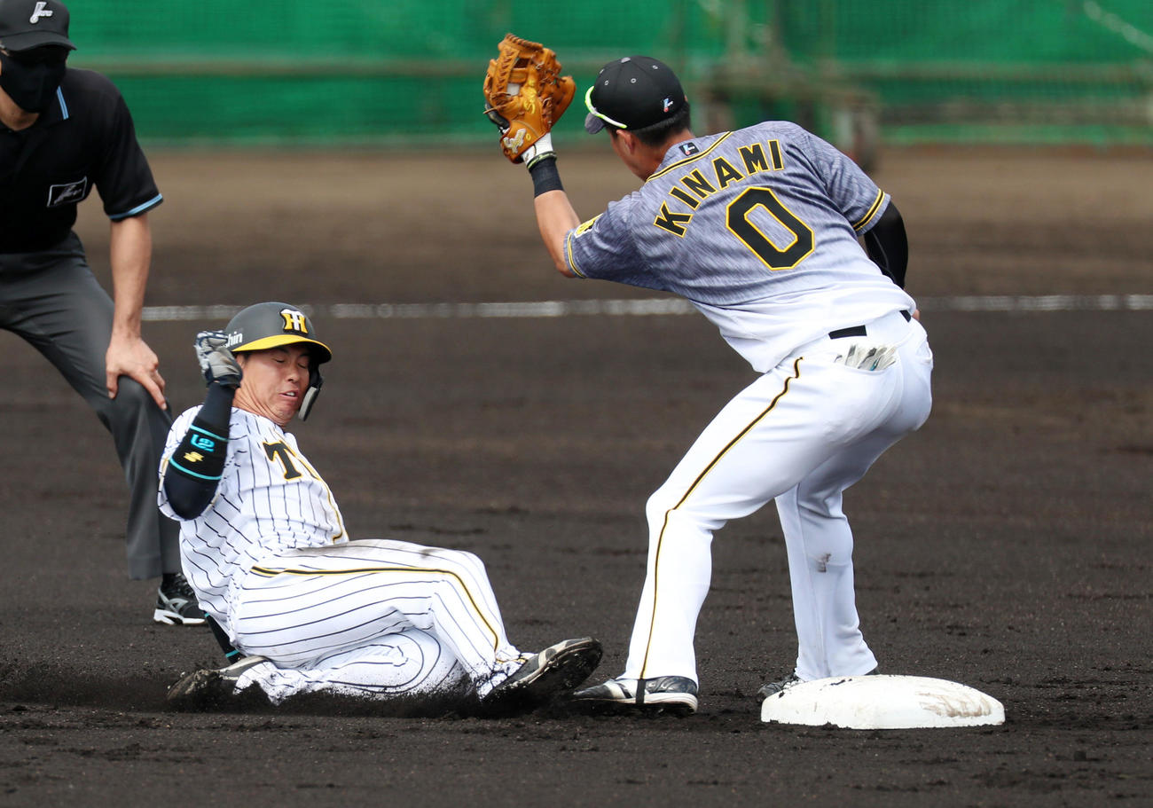 紅白戦　2回裏白組1死一塁、一走梅野は二塁盗塁を決める、右は木浪（撮影・加藤哉）