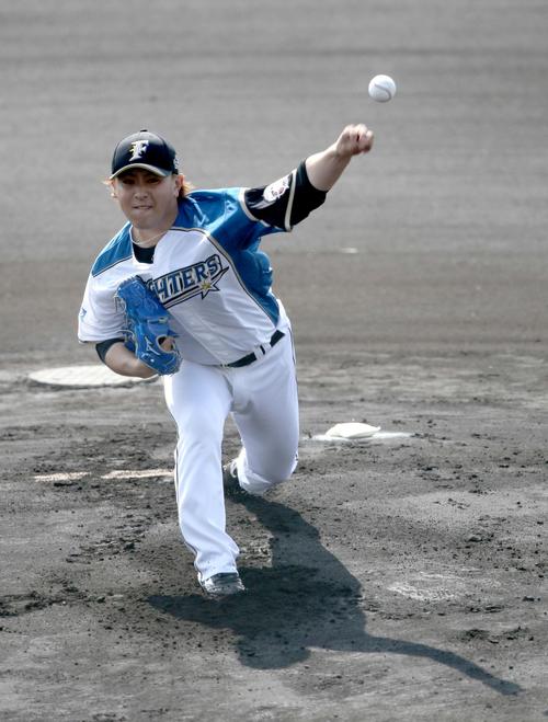 白組先発の日本ハム河野（撮影・佐藤翔太）