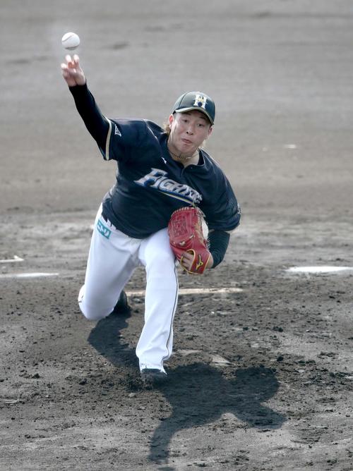 紅組先発の日本ハム吉田輝星（撮影・佐藤翔太）