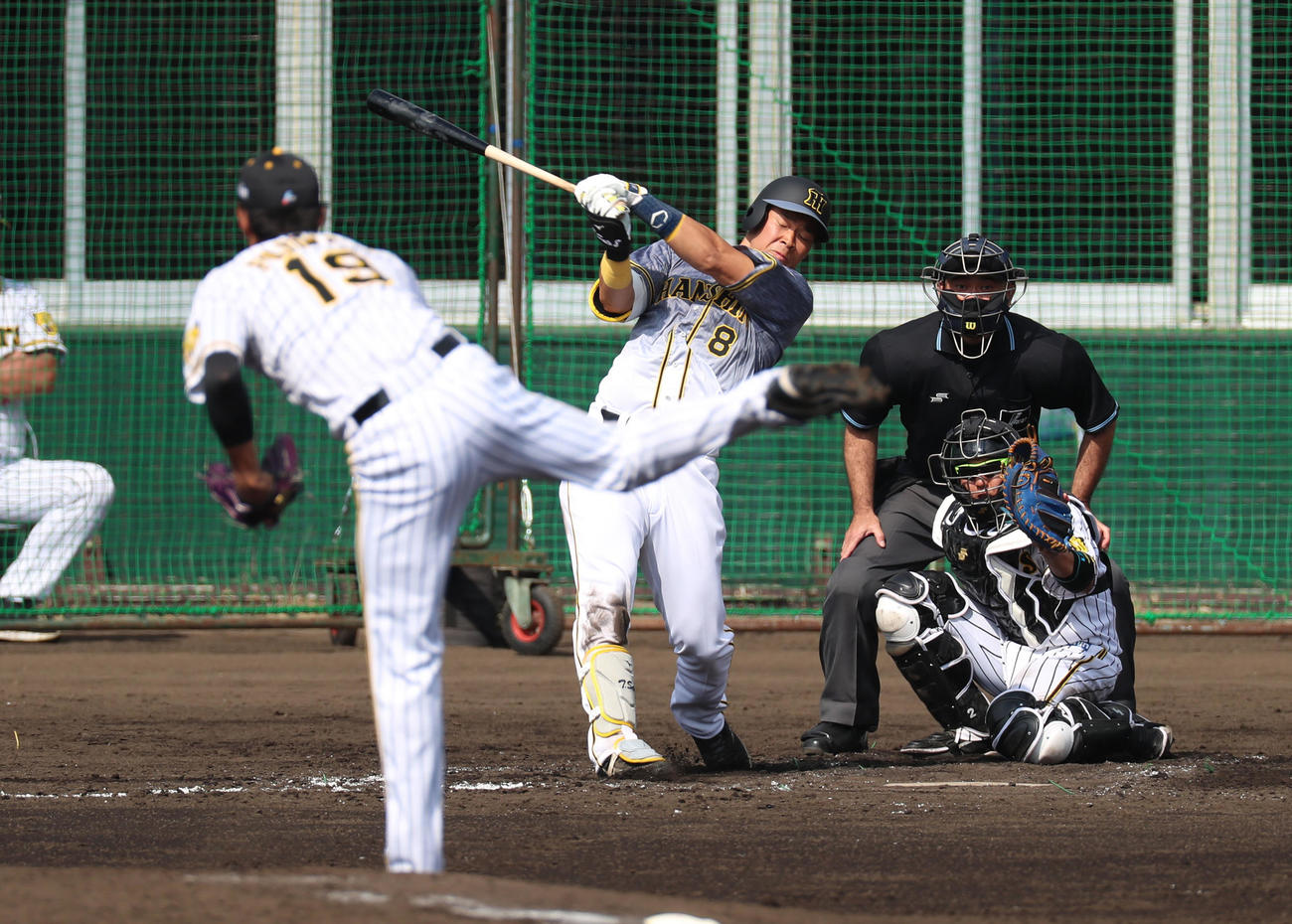 紅白戦　4回表紅組無死、佐藤輝は藤浪と対戦し空振り三振に終わる（撮影・加藤哉）