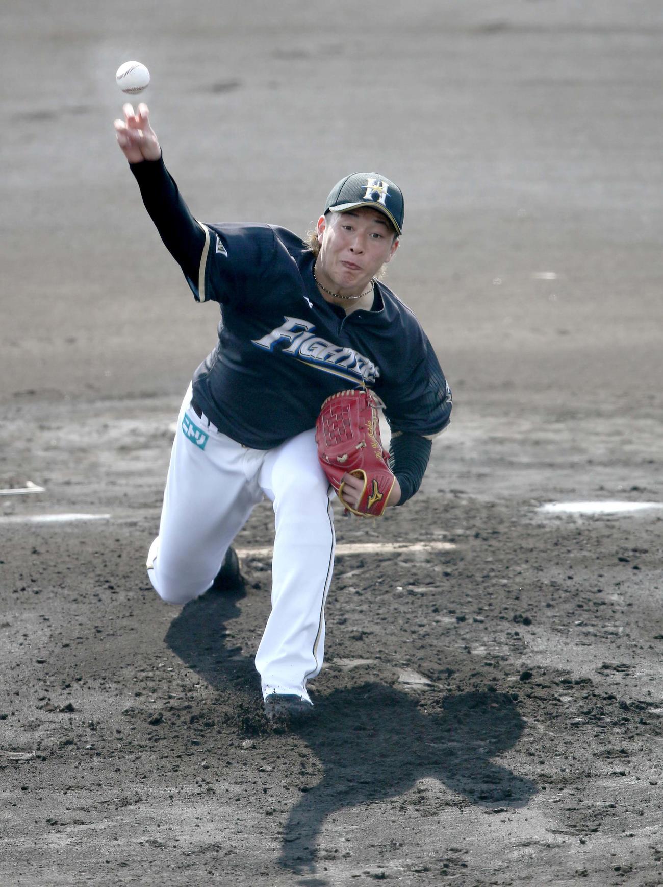 紅組先発の日本ハム吉田（撮影・佐藤翔太）