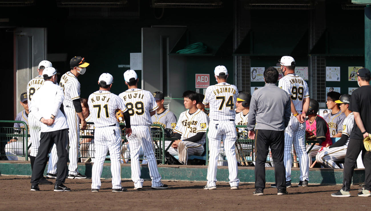 紅白戦を終えナインに言葉を掛ける矢野監督（撮影・加藤哉）