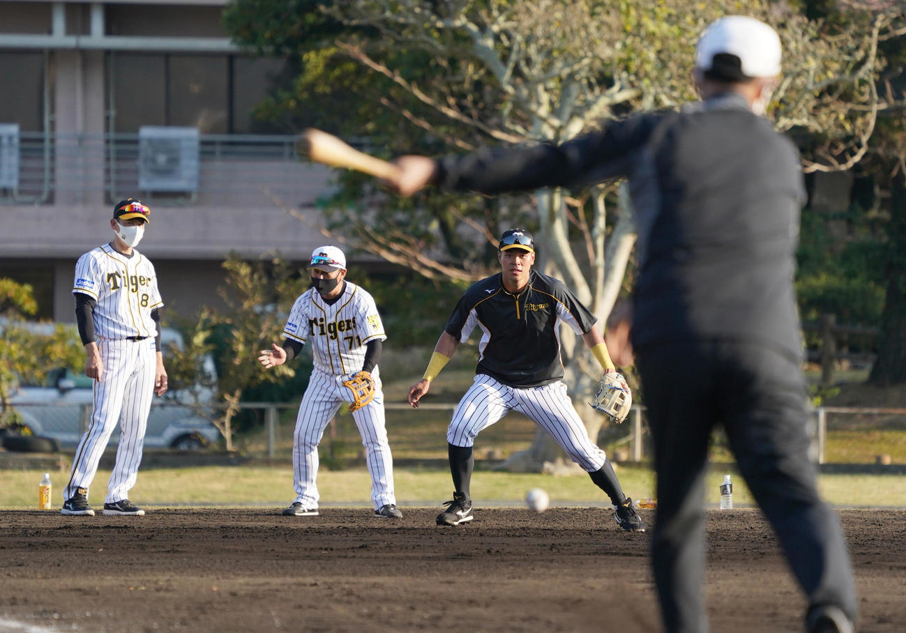 川相臨時コーチ（手前）のノックを受ける佐藤輝。左端は矢野監督、左から2人目は久慈コーチ（撮影・前田充）