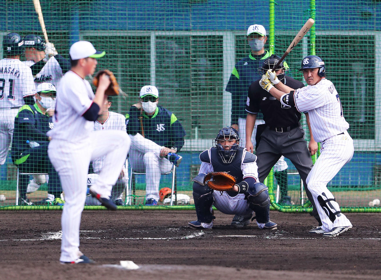 シート打撃で打席に入るヤクルト内川（右）。投手大西、捕手西田。後方左から古田臨時コーチ、高津監督、伊藤投手コーチ（撮影・河田真司）