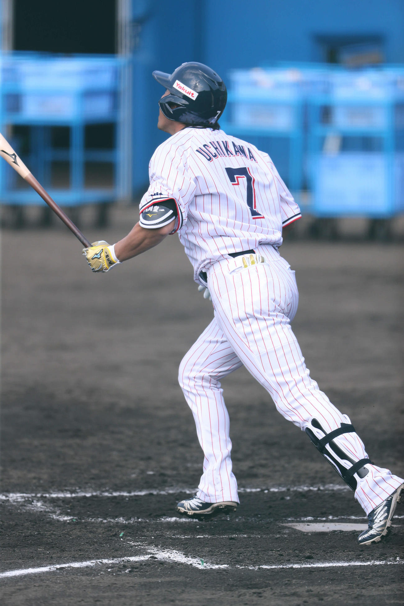 シート打撃で近藤に右飛に抑えられるヤクルト内川（撮影・河田真司）