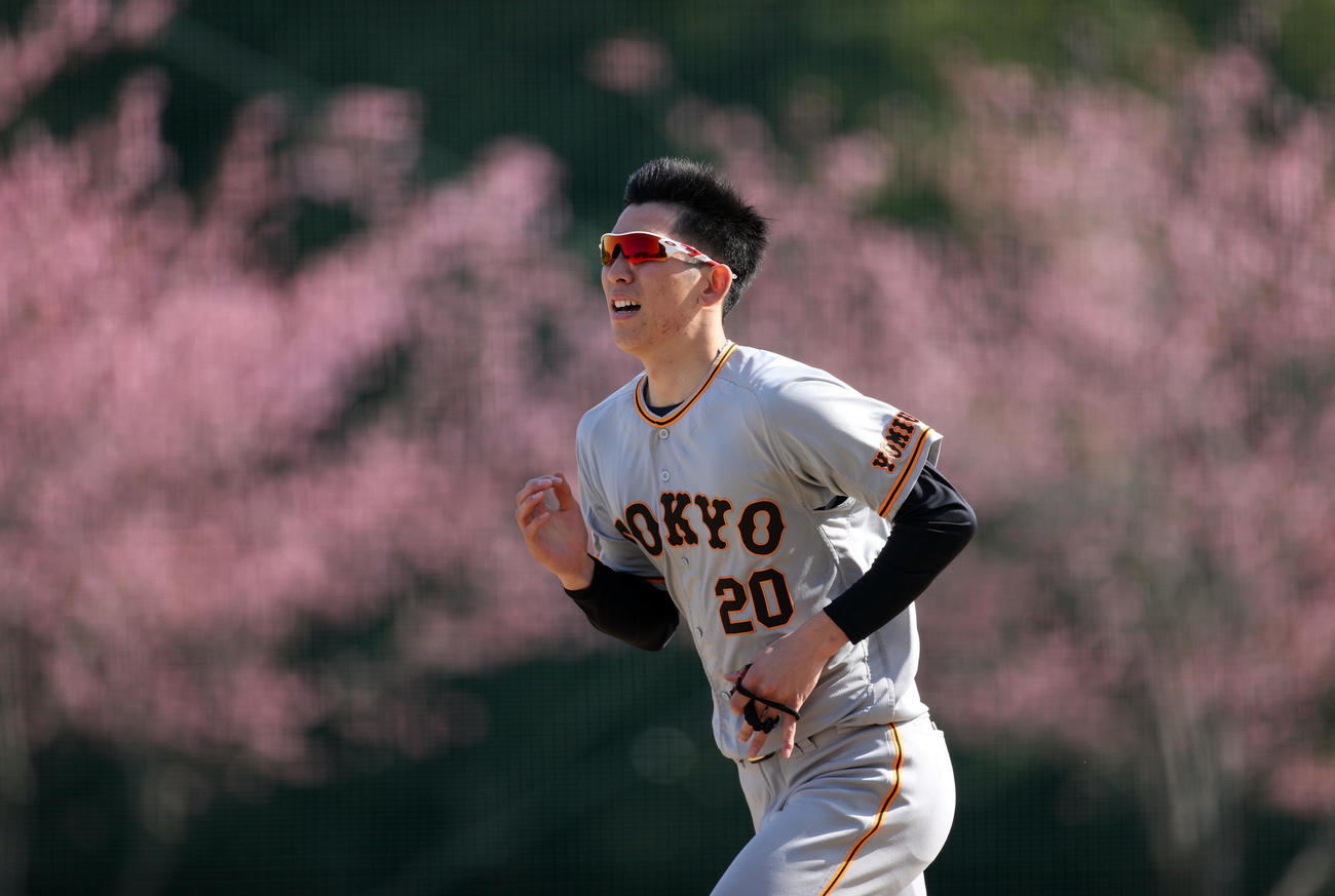河津桜を背にダッシュする戸郷（撮影・狩俣裕三）
