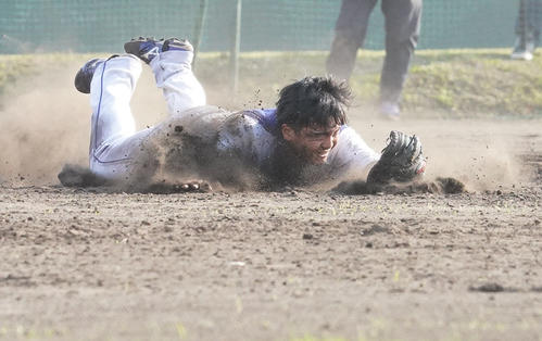 泥まみれになりながらノックを受ける郡司裕也（撮影・森本幸一）＝2021年2月8日、沖縄県北谷町のAgreスタジアム北谷