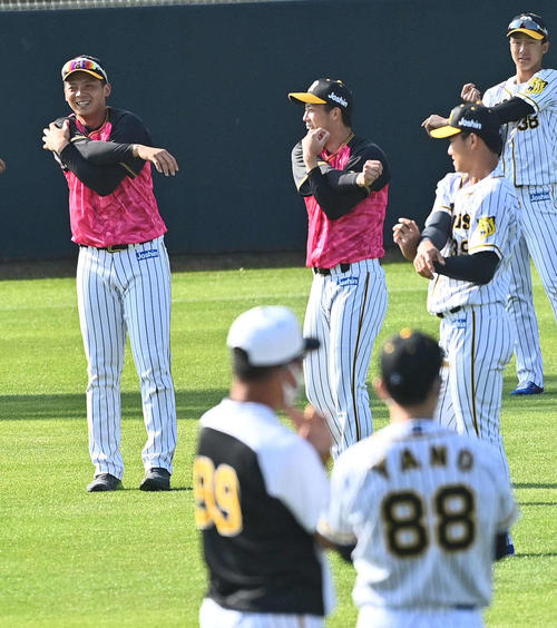 阪神の一日主将をつとめる井上広大（左）と青柳晃洋はストレッチしながら談笑する（撮影・上田博志）