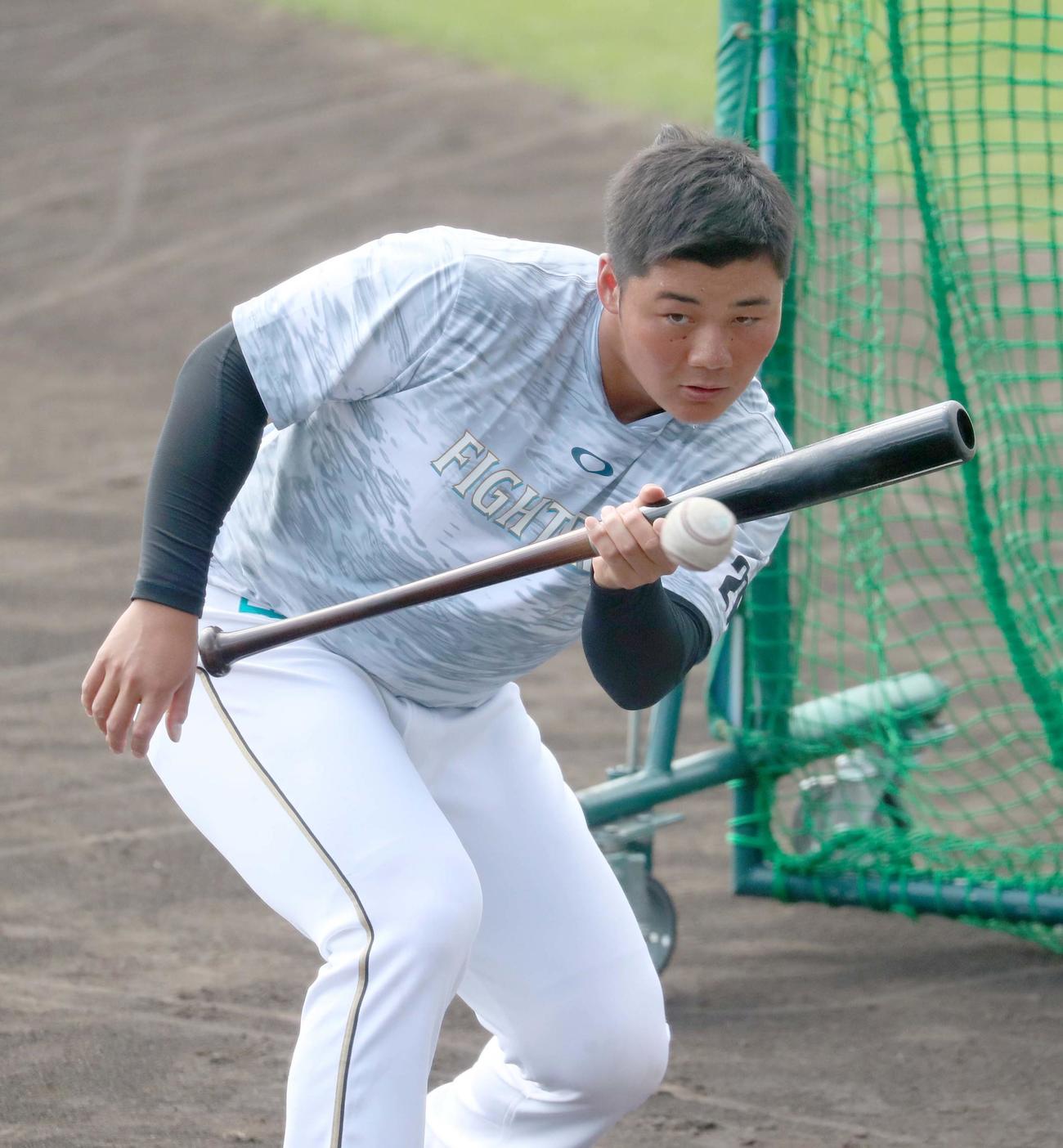 右手を使わずに犠打練習をする日本ハム清宮（撮影・佐藤翔太）