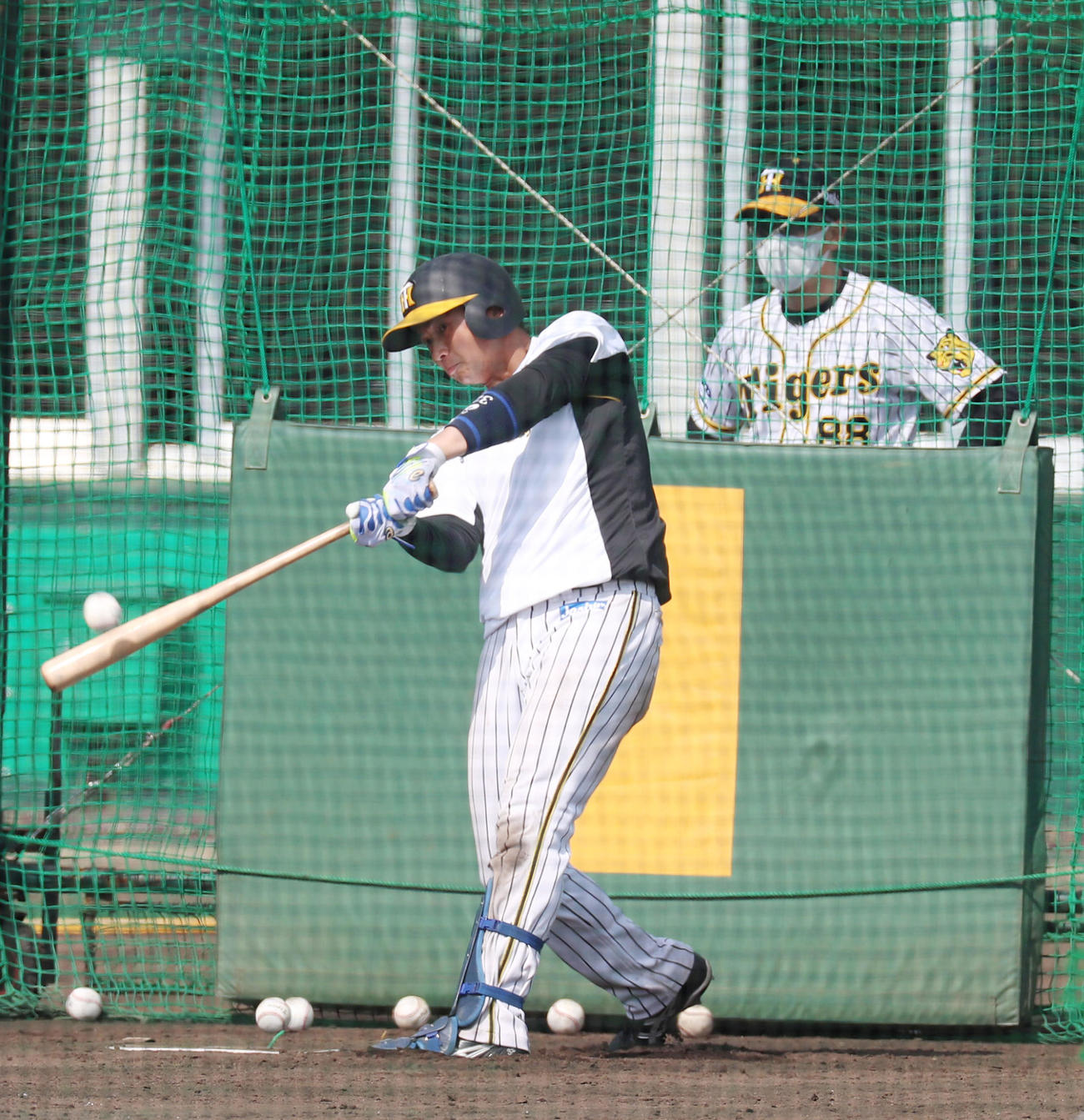 矢野監督の前で打撃練習する井上（撮影・加藤哉）