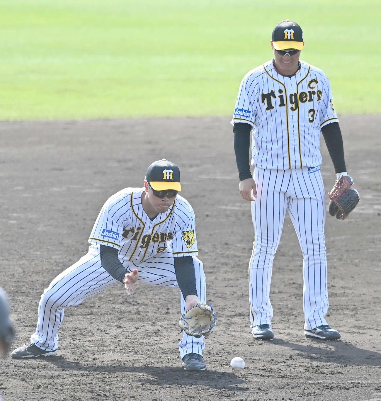大山悠輔（右）と三塁のノックを受ける佐藤輝明（撮影・上田博志）